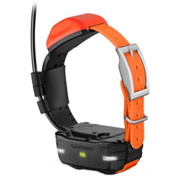 Устройство слежения за собаками Garmin Alpha 50 с ошейником Т5