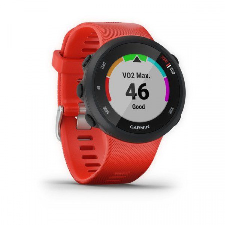 Спортивные часы Garmin Forerunner 45 GPS Large EU Lava Red (010-02156-16)